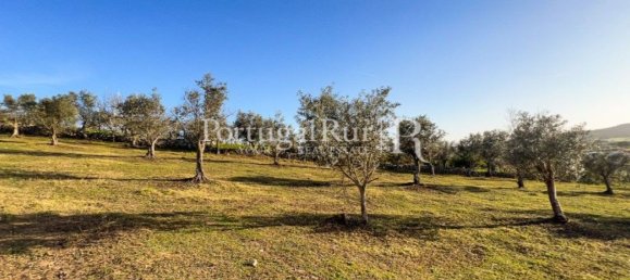 4 غرف نوم منزل في Portalegre, Portugal رقم 146334 21