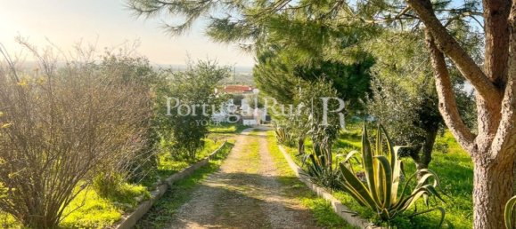 4 غرف نوم منزل في Portalegre, Portugal رقم 146334 15