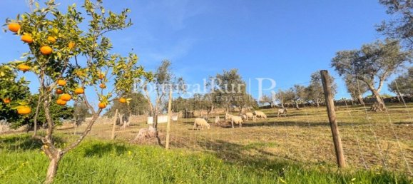 4 غرف نوم منزل في Portalegre, Portugal رقم 146334 17