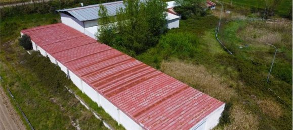 3-Zimmer Lagerhaus in Apice, Italy, Nr. 307847 3