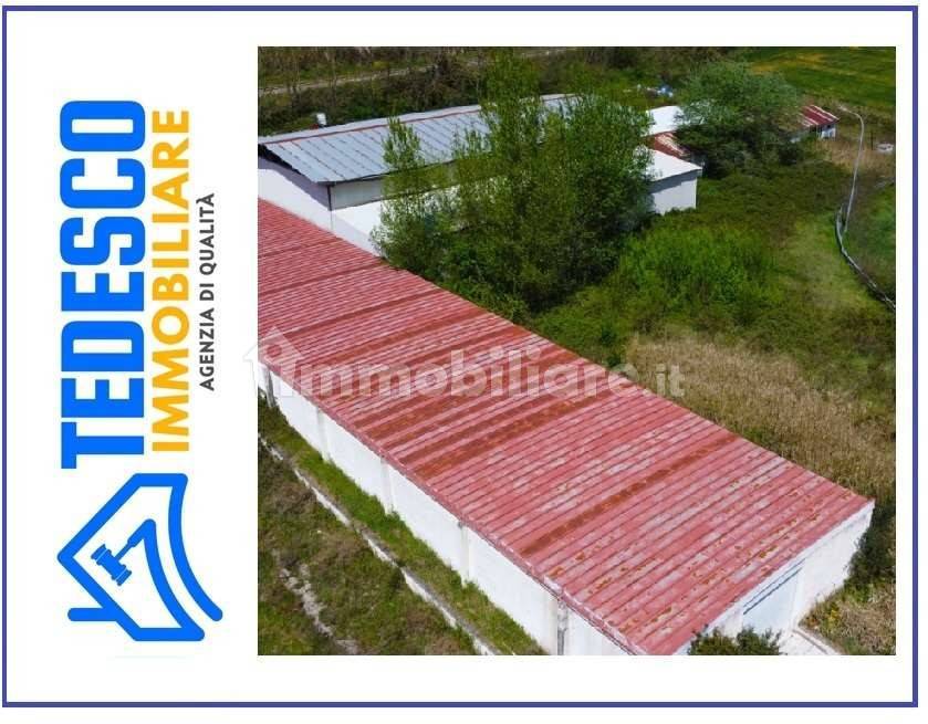 3-Zimmer Lagerhaus in Apice, Italy, Nr. 307847