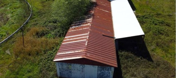 3-Zimmer Lagerhaus in Apice, Italy, Nr. 307847 2