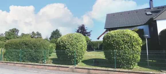 7 bedrooms Townhouse in Odenwaldkreis, Germany No. 66944 17