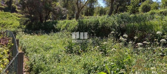 Grundstück in Caminha, Portugal 2310m², Nr. 58693 9