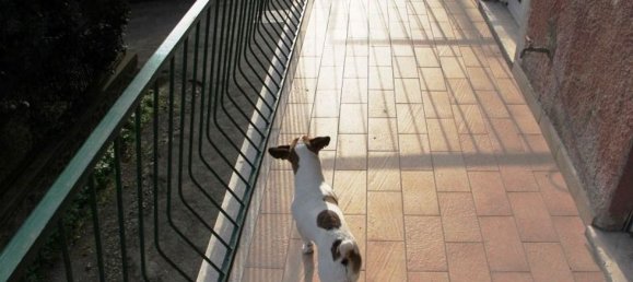 7 rooms Apartment in Orvieto, Italy No. 47375 6