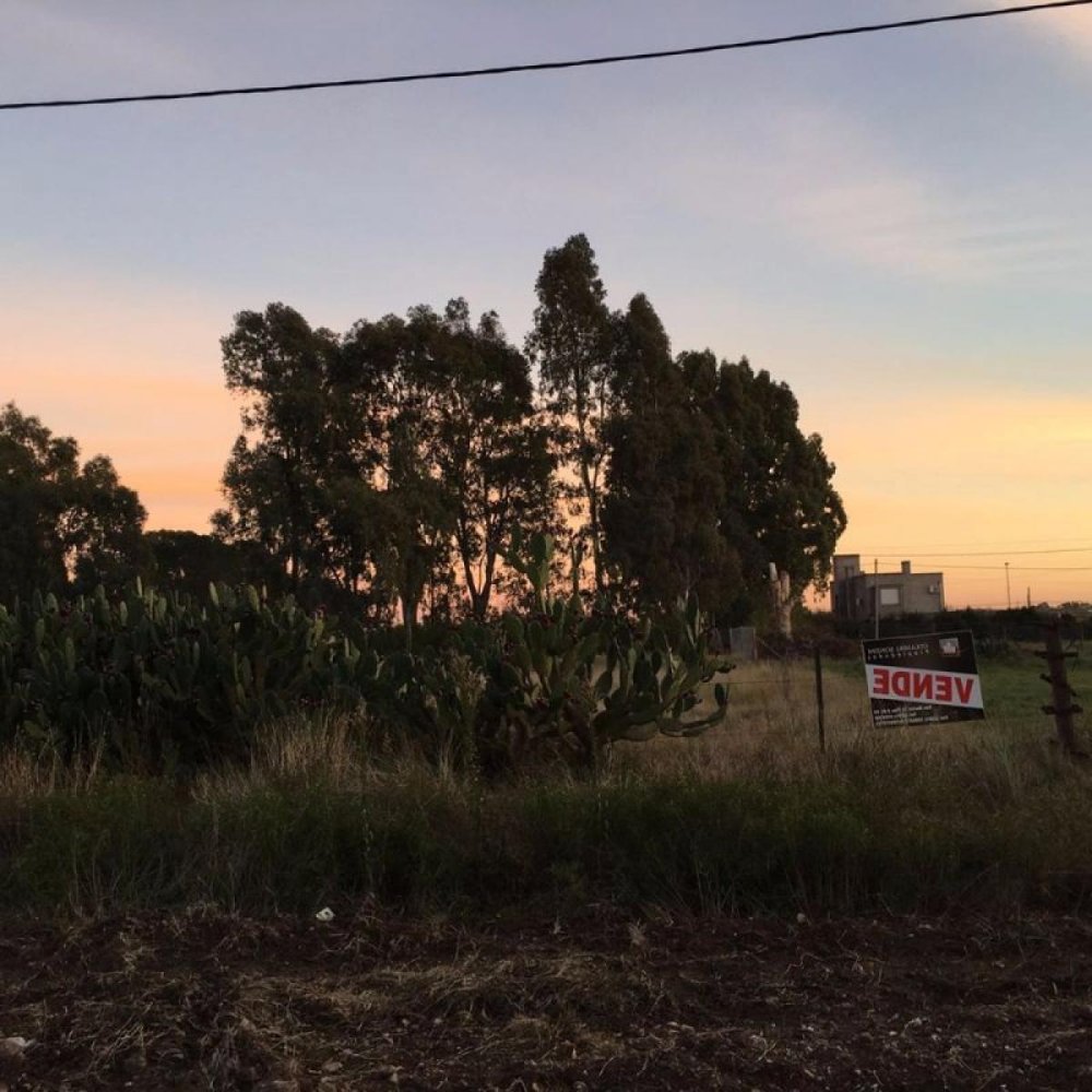Grundstück in Buenos Aires, Argentina, Nr. 110617