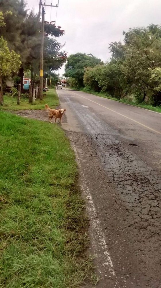  Land in Matamoros, Mexico No. 203787