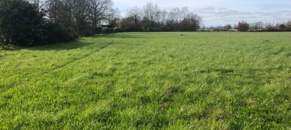 Land in Saint-Philbert-de-Grand-Lieu, France No. 100010 3