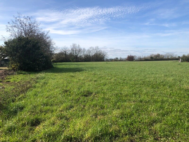  Land in Saint-Philbert-de-Grand-Lieu, France No. 100010