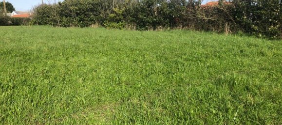 Land in Saint-Philbert-de-Grand-Lieu, France No. 100010 2