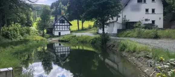 Отель, гостиница с 37 комнатами в Хохзауэрланд, Германия № 72850 7