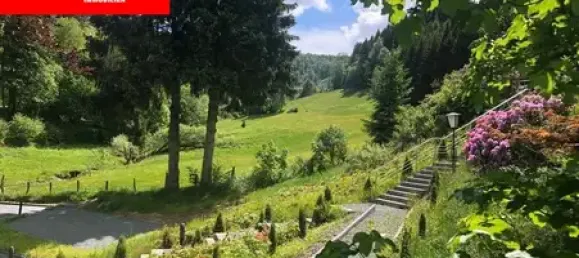 Отель, гостиница с 37 комнатами в Хохзауэрланд, Германия № 72850 5