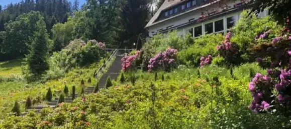 Отель, гостиница с 37 комнатами в Хохзауэрланд, Германия № 72850 2