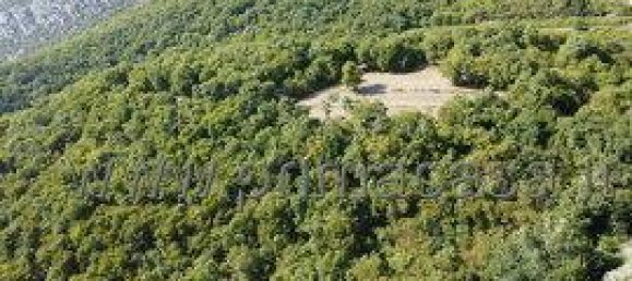 1 room Land in Fumane, Italy No. 171885 7