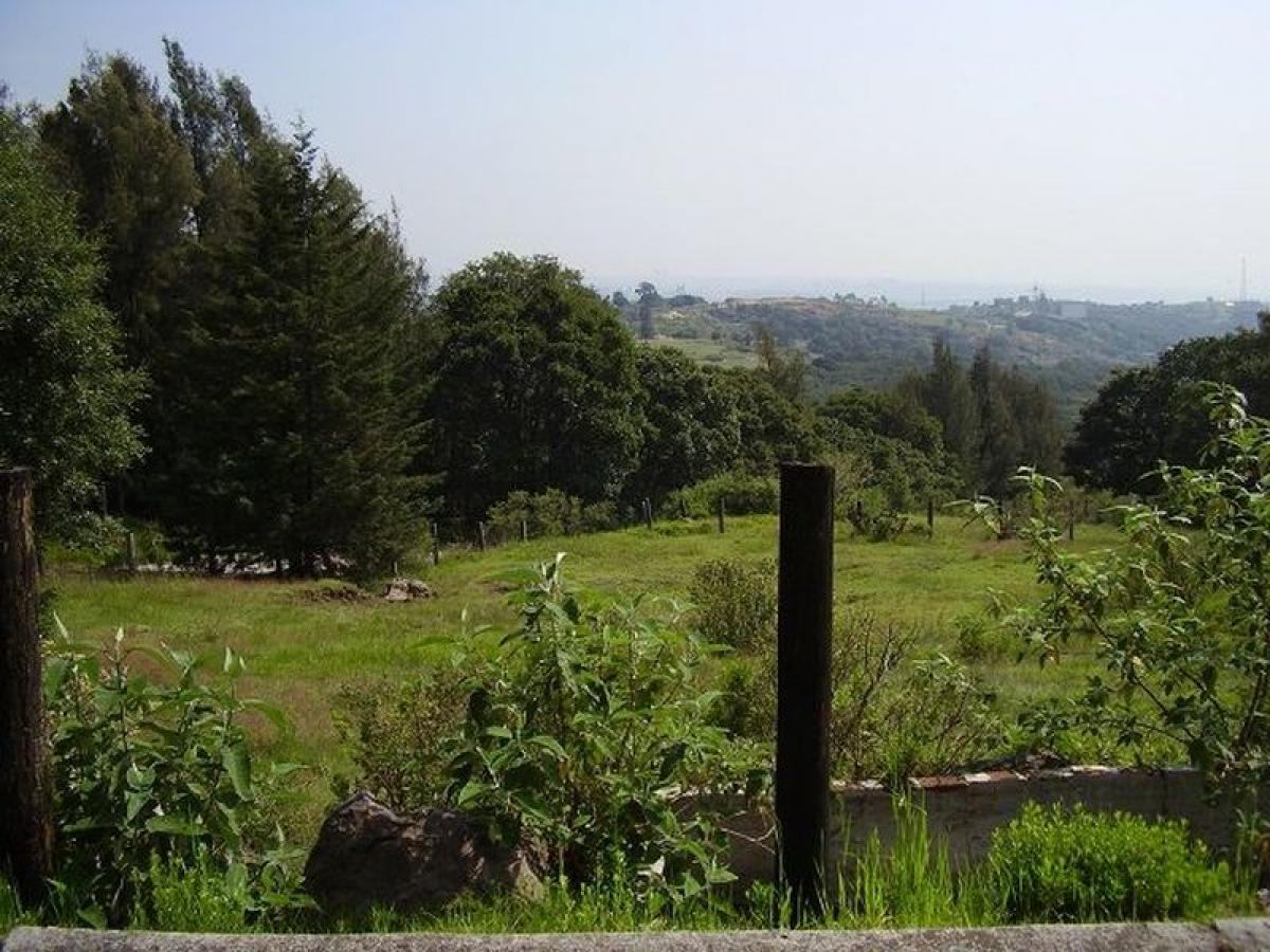 Grundstück in Naucalpan de Juarez, Mexico, Nr. 204531