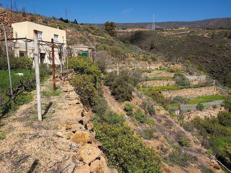  قطعة أرض في Fasnia, Spain 81متر مربع رقم 244802