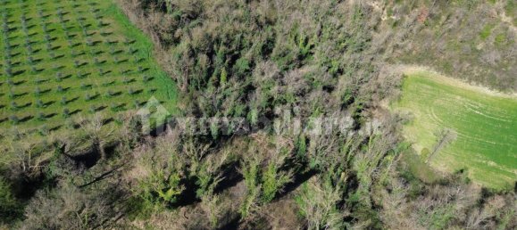 Дом с 1 спальней в Монте Кастелло ди Вибио, Италия № 293834 15