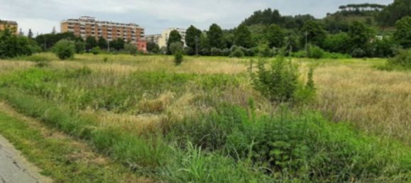 49623m² Land in Ascoli Piceno, Italy No. 317482 6