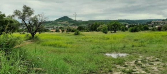 49623m² Land in Ascoli Piceno, Italy No. 317482 3
