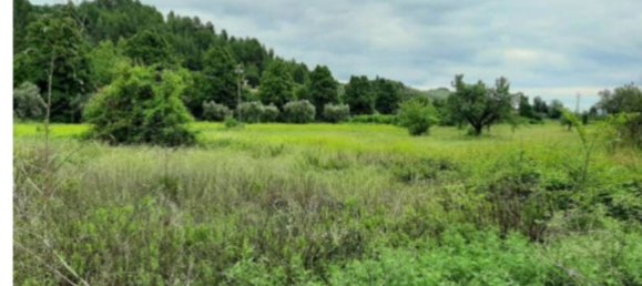 49623m² Land in Ascoli Piceno, Italy No. 317482 4