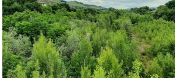 49623m² Land in Ascoli Piceno, Italy No. 317482 10