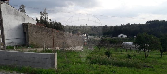 4 bedrooms House in Soure, Portugal No. 177915 5