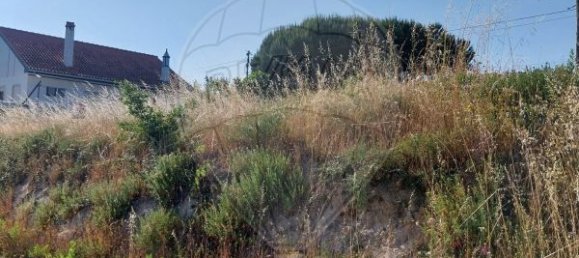 4 bedrooms House in Soure, Portugal No. 177915 35