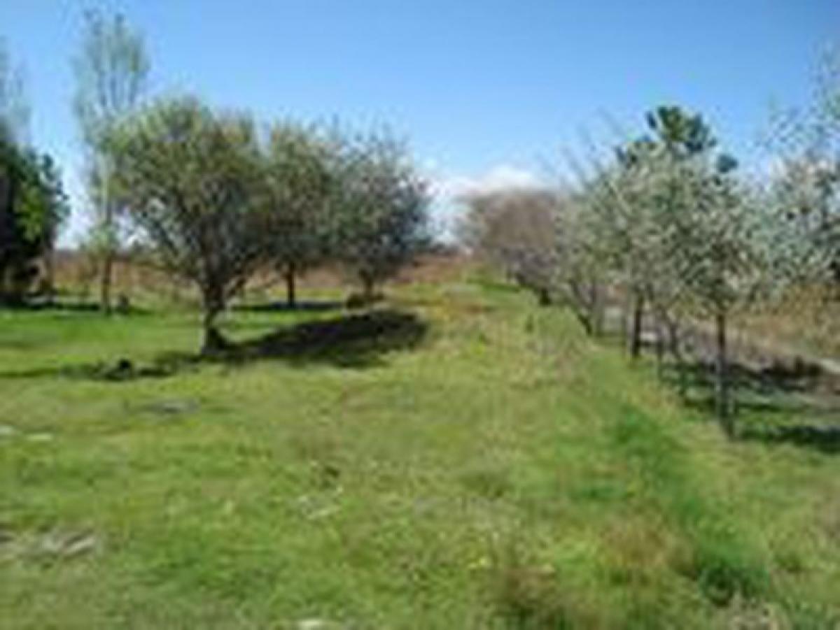  Land in San Buenaventura, Mexico No. 205510