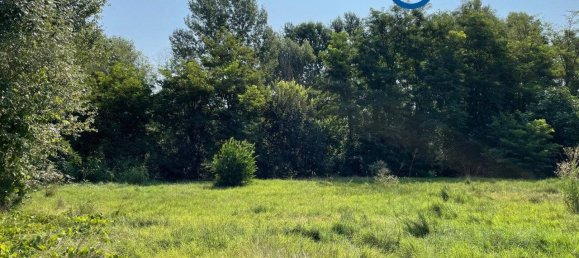 1935m² Land in Frassinelle Polesine, Italy No. 54940 3