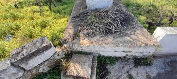 Villa de 5 habitaciónes en Ostuni, Italy No. 37396 66