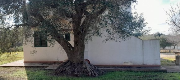 Villa de 5 habitaciónes en Ostuni, Italy No. 37396 22
