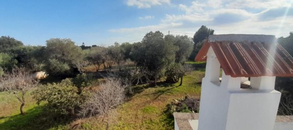 Villa de 5 habitaciónes en Ostuni, Italy No. 37396 71