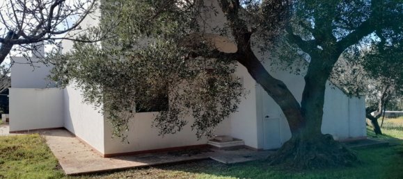 Villa de 5 habitaciónes en Ostuni, Italy No. 37396 18