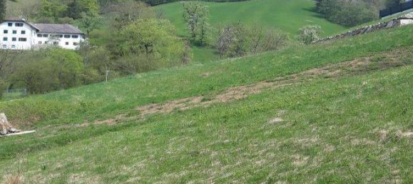  Land in Waidhofen an der Ybbs, Austria No. 213204 2