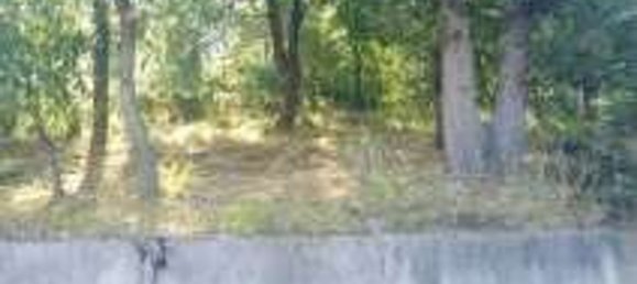 12 rooms House in Morlupo, Italy No. 186067 18