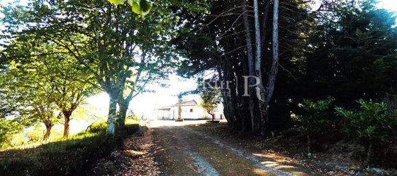 538m² Hotel in Abrunhosa a Velha, Portugal No. 41368 28