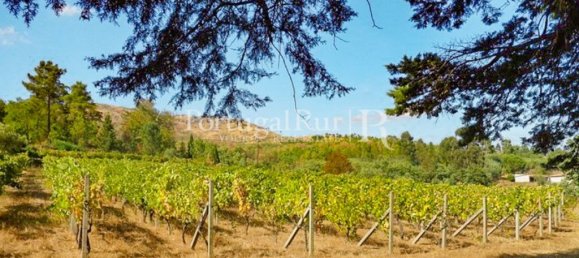 538m² Hotel in Abrunhosa a Velha, Portugal No. 41368 5