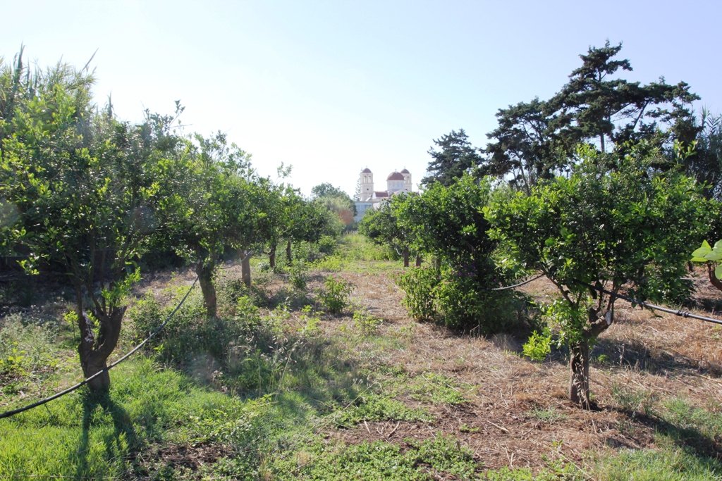 4000m² Hotel in Platanias, Greece No. 7088