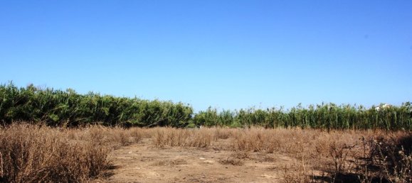 4000m² Hotel in Platanias, Greece No. 7088 2