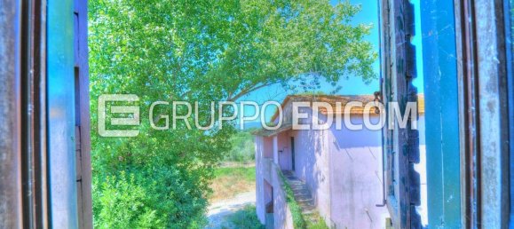 Gewerbliche Immobilie in Amelia, Italy 300m², Nr. 284243 6