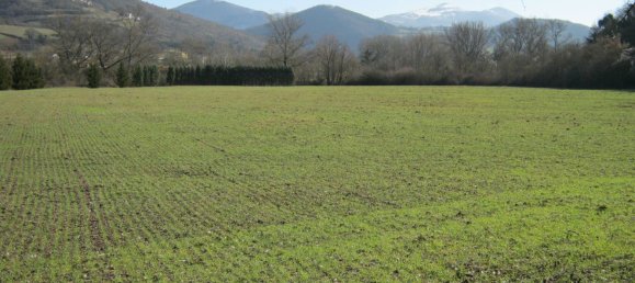 30غرفة عقار تجاري في Sassoferrato, Italy رقم 133363 21