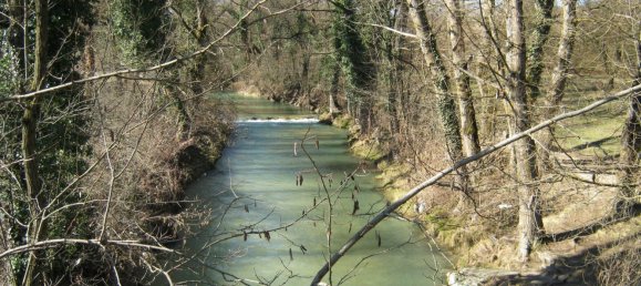 30غرفة عقار تجاري في Sassoferrato, Italy رقم 133363 19