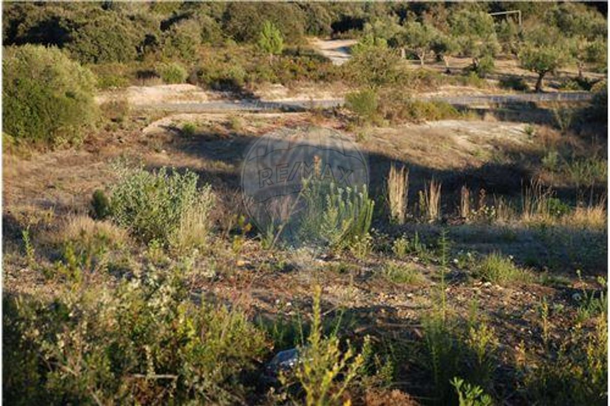 Земельный участок 5771м² в Торриш Новаш, Португалия № 64163