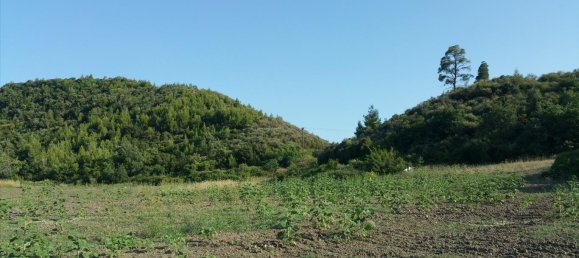 14625m² Hotel in Chalkidiki, Greece No. 5649 8