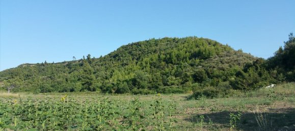 14625m² Hotel in Chalkidiki, Greece No. 5649 7