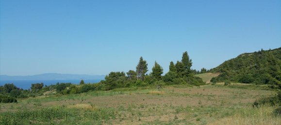 14625m² Hotel in Chalkidiki, Greece No. 5649 5