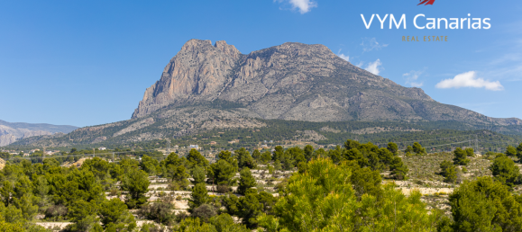 3 bedrooms Villa in Golf Bahia, Spain No. 3521 4