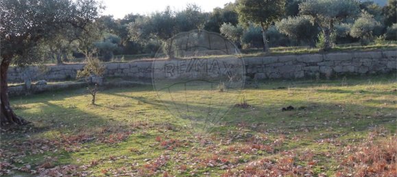 9 bedrooms House in Fundao, Portugal No. 58571 24