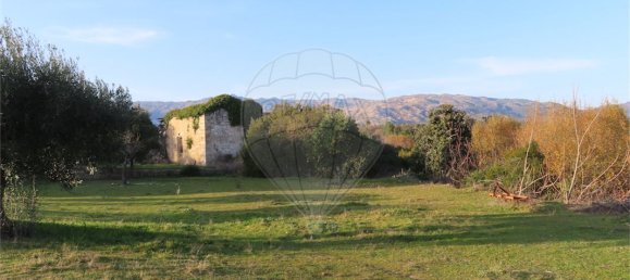 9 bedrooms House in Fundao, Portugal No. 58571 22