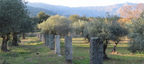 9 bedrooms House in Fundao, Portugal No. 58571 27